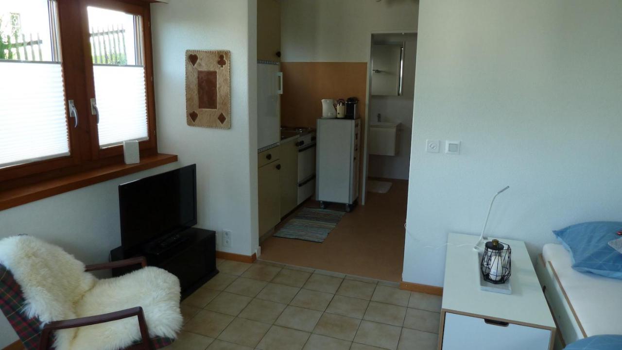 Holzji Apartment Glis Ngoại thất bức ảnh